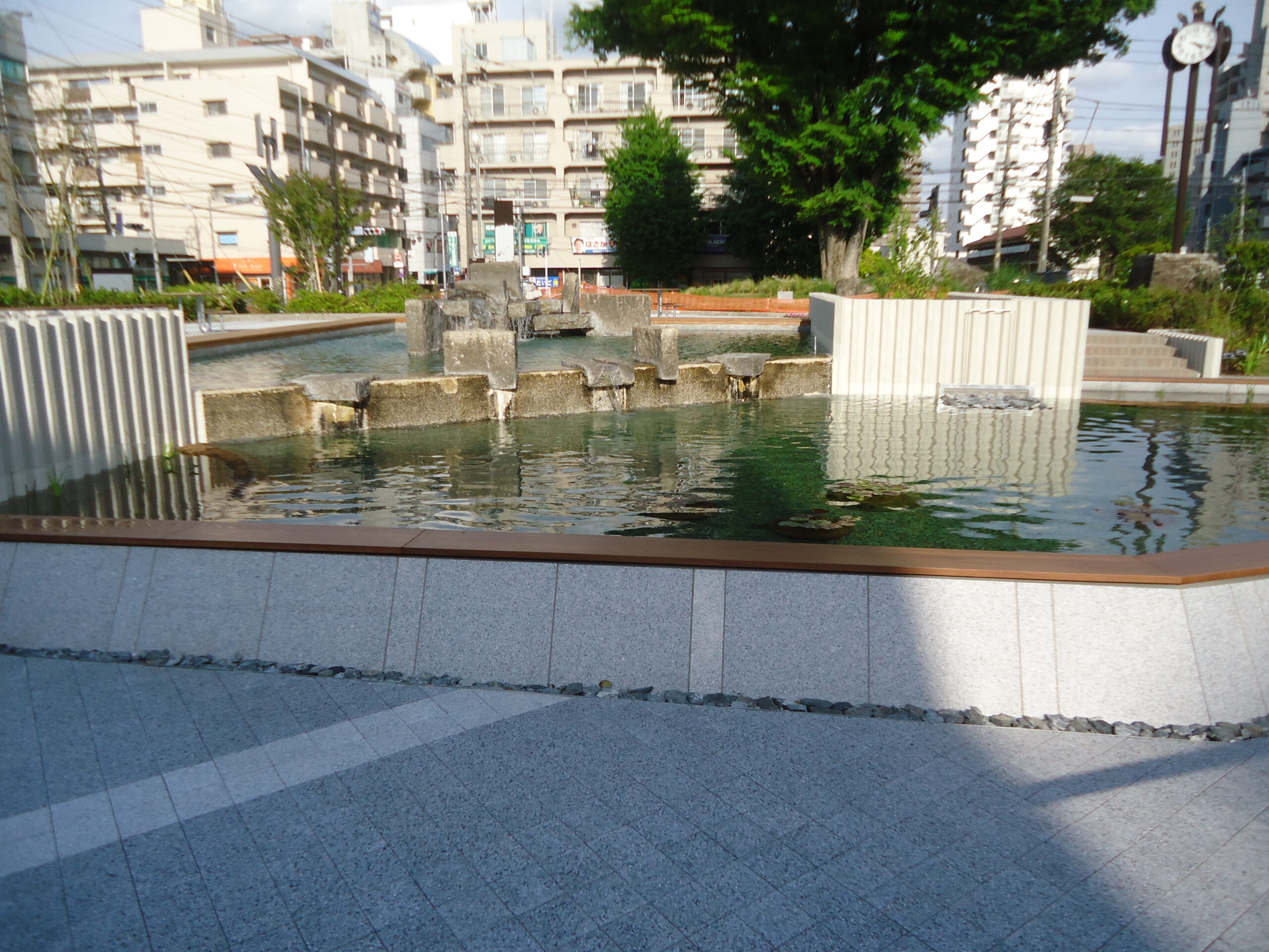 市役所前池周辺外グリーンインフラ整備工事